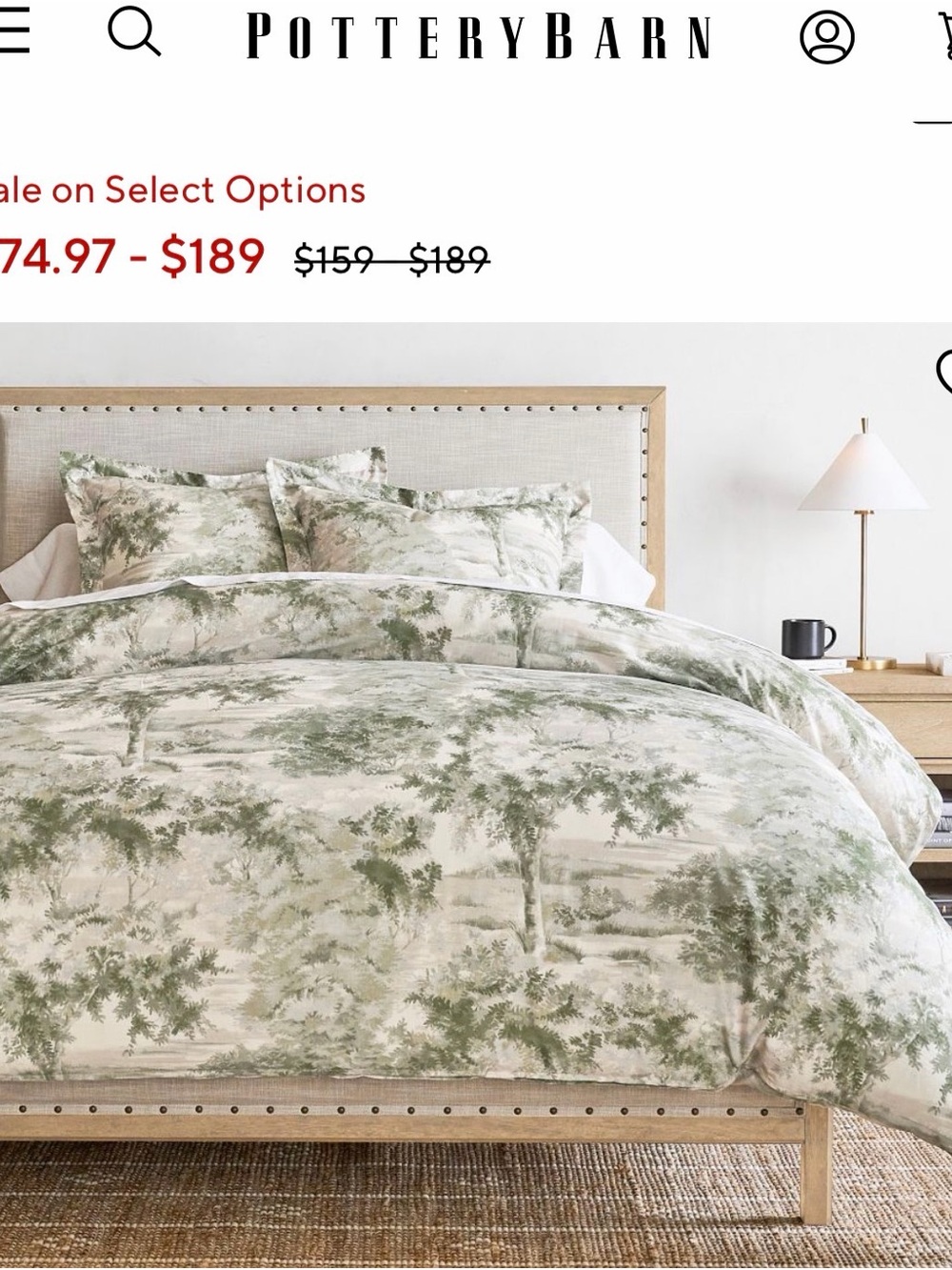Pottery Barn Green and Beige Toile Duvet Cover - Picture 11 of 11